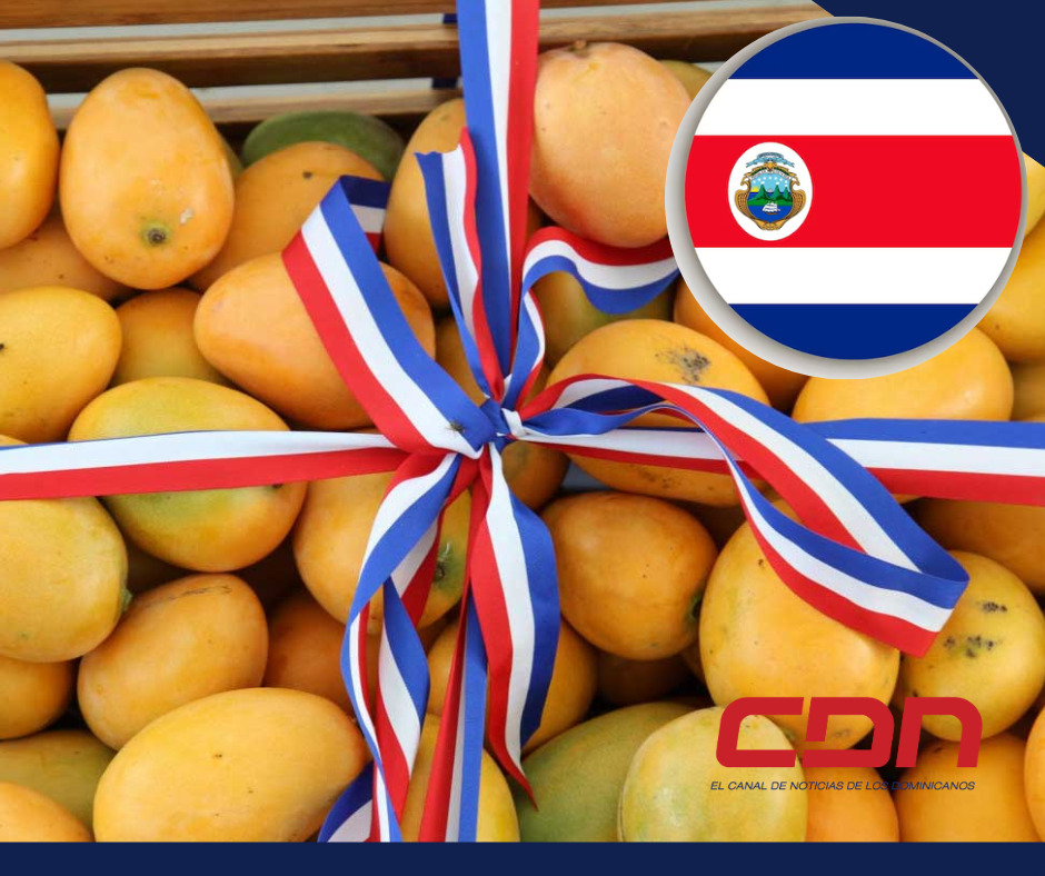 Llega a Costa Rica primer furgón de mangos dominicanos
