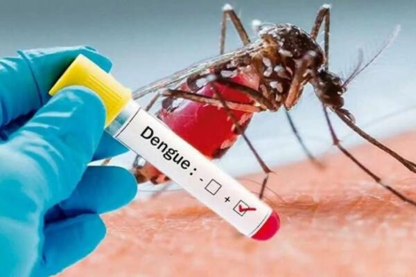 Casos de dengue Dengue por transmisión intrauterina
