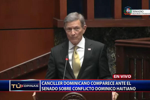 Canciller ante el Senado explica situación con Haití