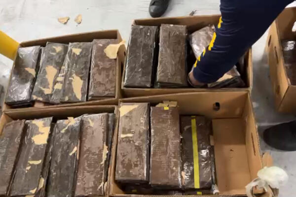 Láminas de cocaína en cajas de guineos.