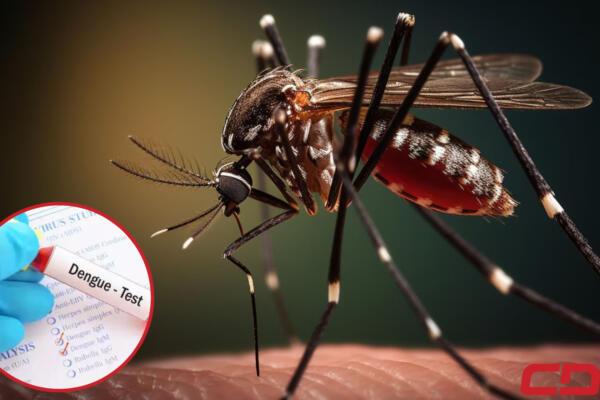 Aumentan casos de Dengue.