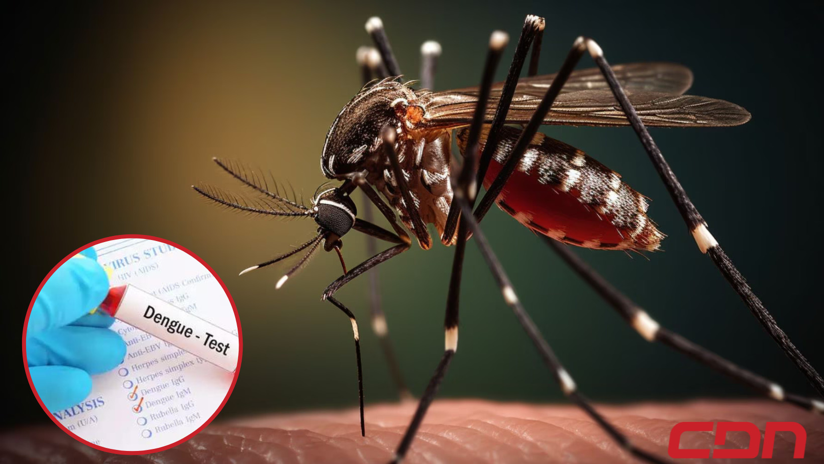 Dengue