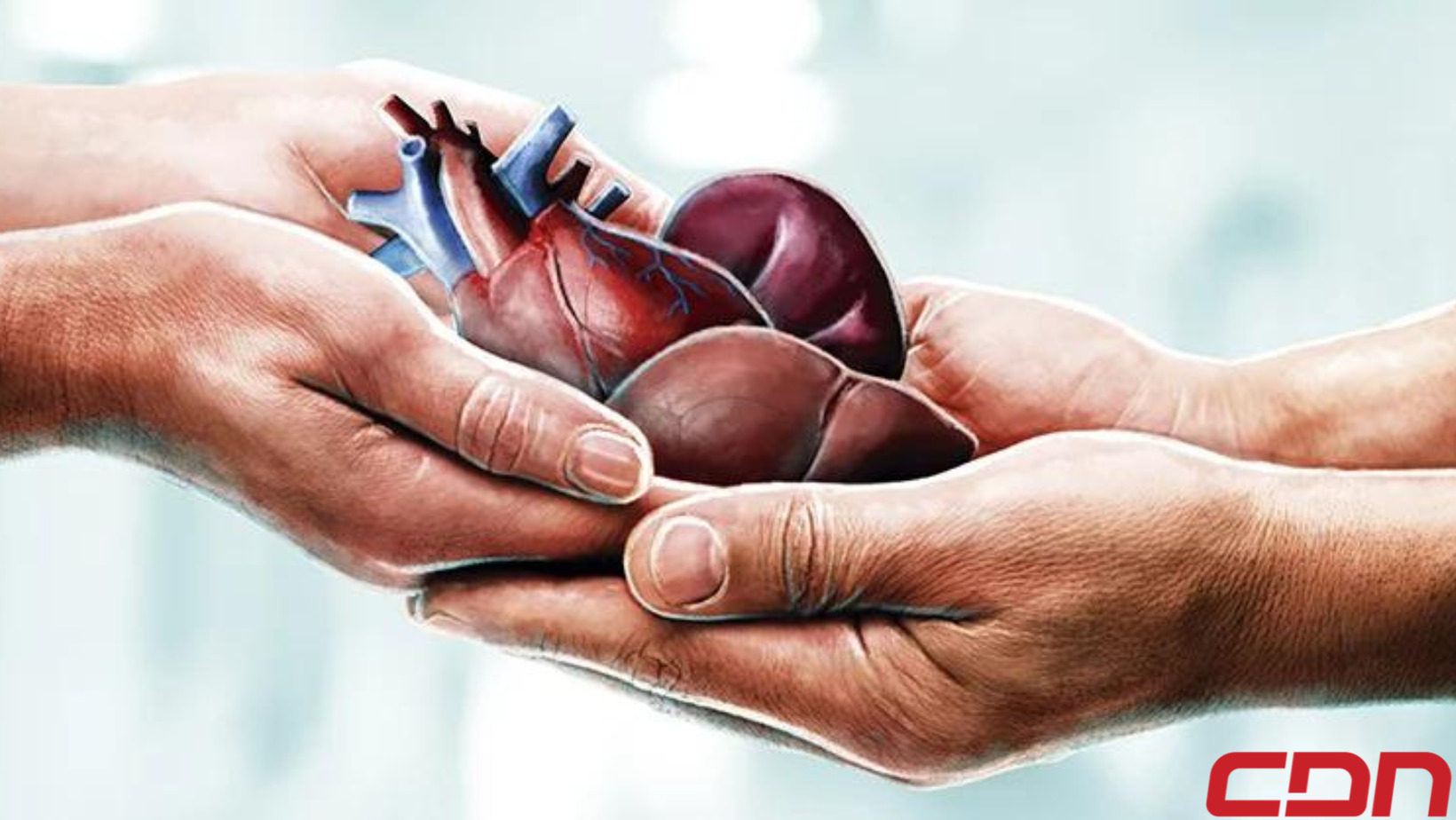 6 de junio Día Mundial de los Pacientes Trasplantados. (foto CDN)