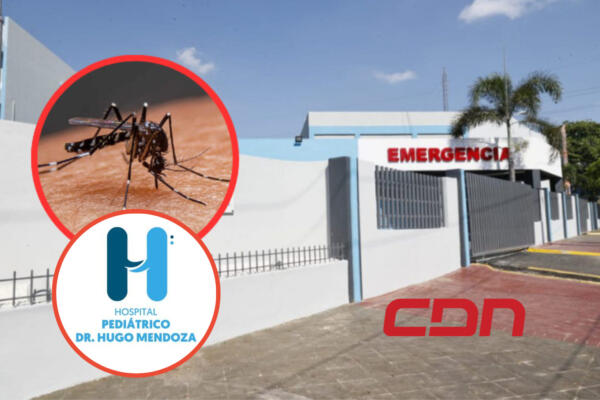 Continúan aumentando los casos de dengue; hospitales pediátricos siguen recibiendo pacientes