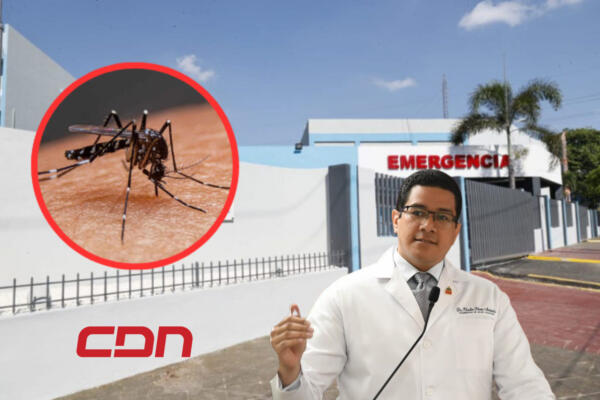 casos de dengue 