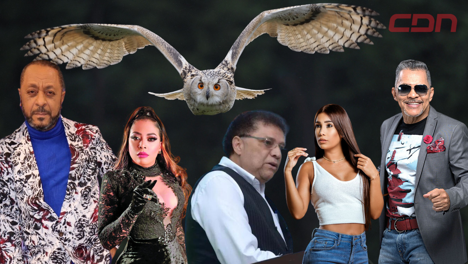 Operación Búho