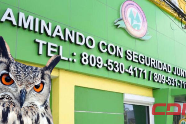 Foto: Fuente externa 