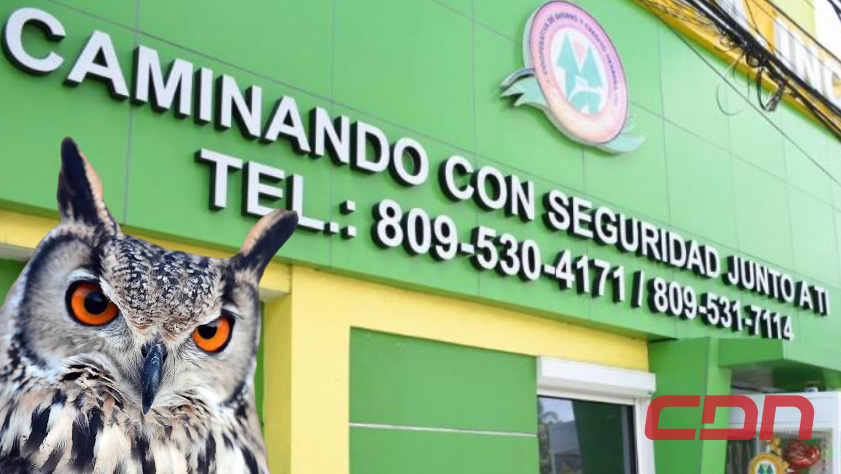 operación Búho
