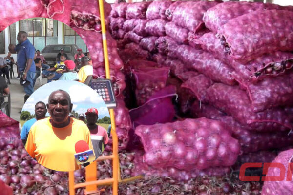 Productores de cebolla reclaman pagos.