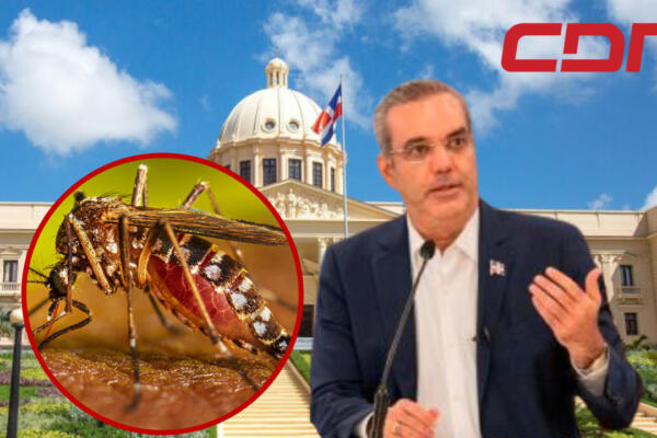 Gobierno anuncia medidas para contrarrestar avance del dengue