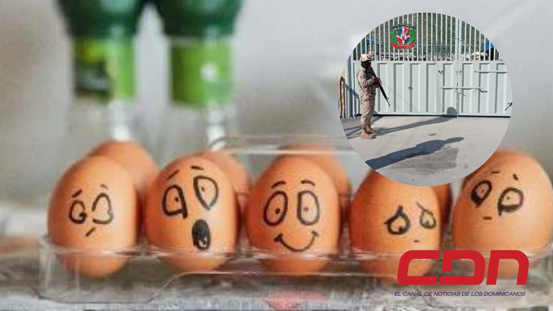 Productores de Huevos
