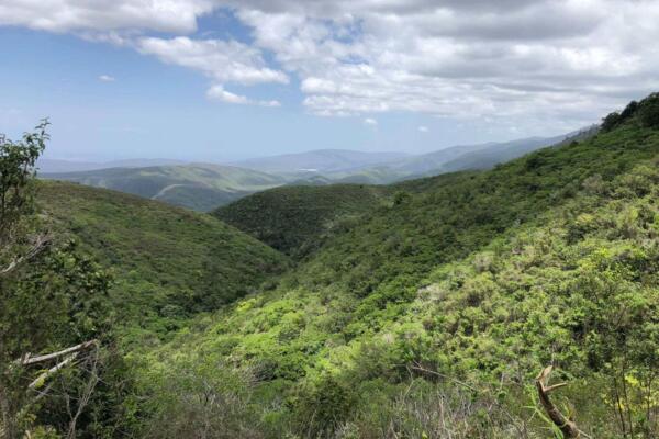 ONAMET comunicó que la zona montañosa más elevada de RD está registrando un descenso de las temperaturas en las noches y madrugadas