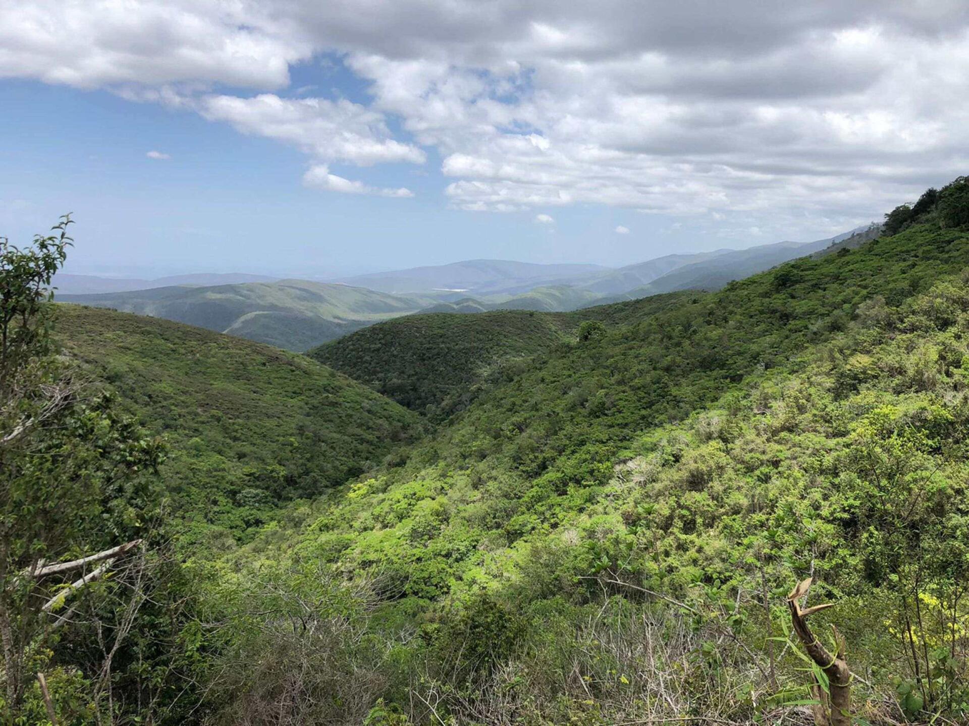 ONAMET comunicó que la zona montañosa más elevada de RD está registrando un descenso de las temperaturas en las noches y madrugadas