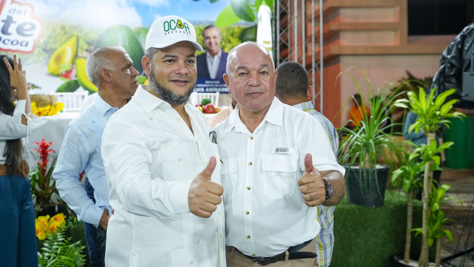 El FEDA muestra interés en impulsar la producción de aguacate