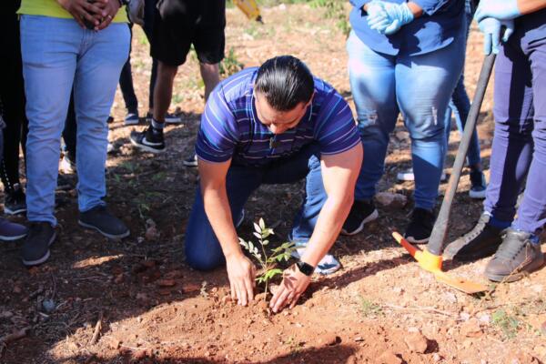 Candidato Luis Alberto plantando arboles fuente  externa