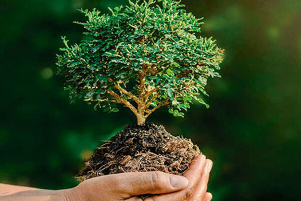 Hoy es Día Mundial de Protección de la Naturaleza