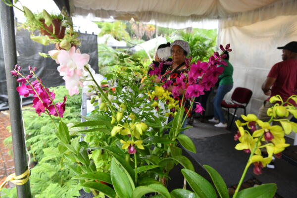 Festival de plantas y flores.