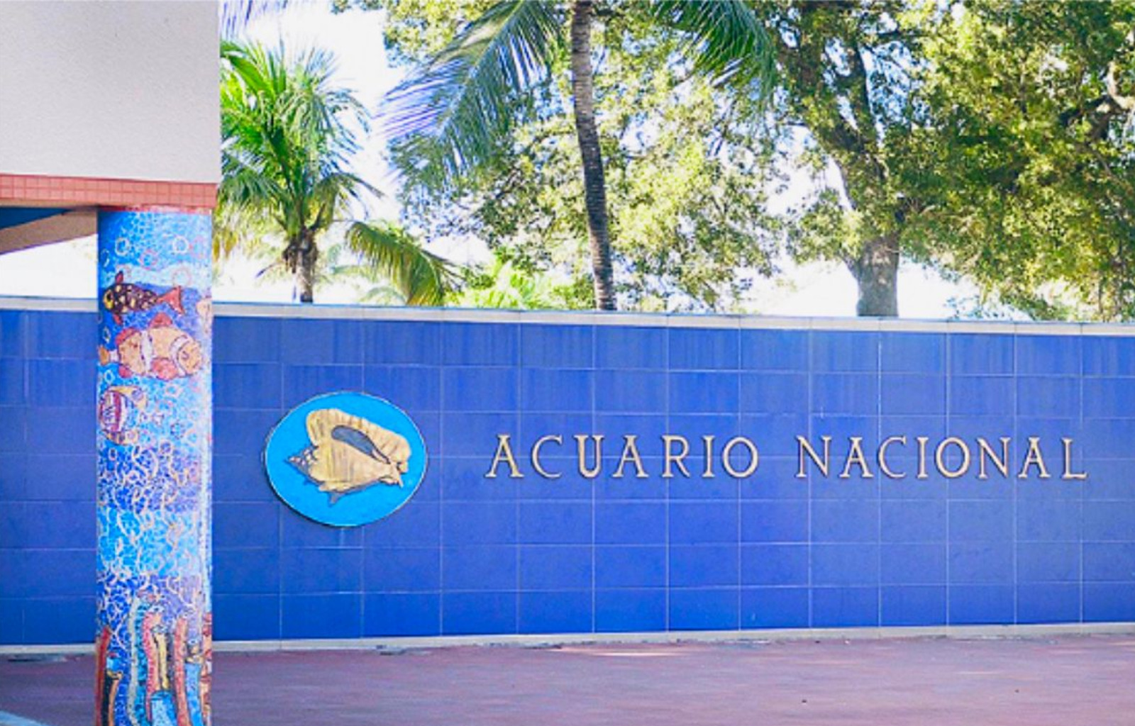 Acuario Nacional de la Republica Dominicana. FOTO: Fuente externa.