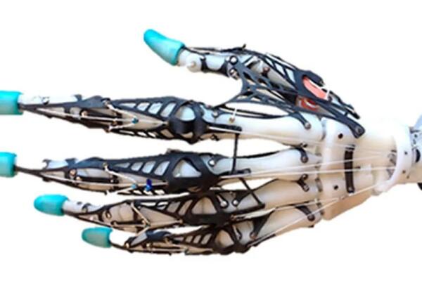 Mano robótica blanda con huesos, ligamentos y tendones mediante impresión 3D. Foto: fuente externa.
