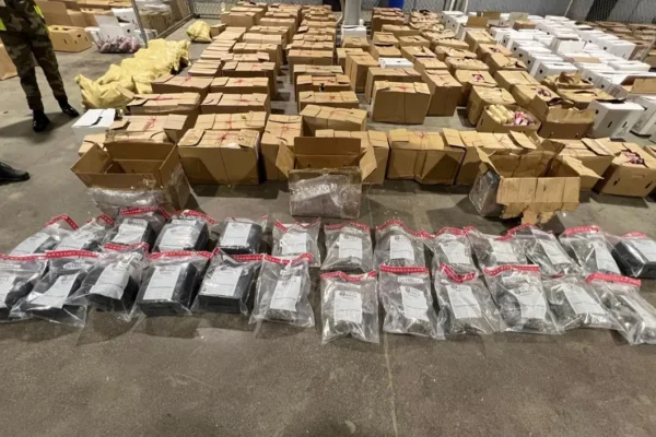 Frustran en el en puerto SD envío de 39 paquetes de marihuana a Puerto Rico. (Foto: Fuente Externa)