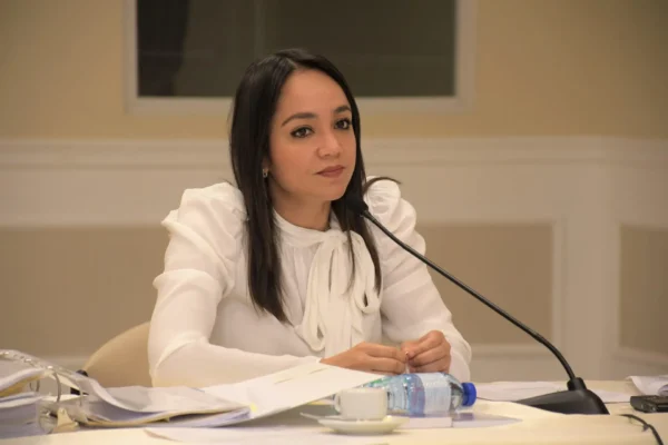 Faride Raful, senadora del Distrito Nacional. FOTO:  Fuente externa.