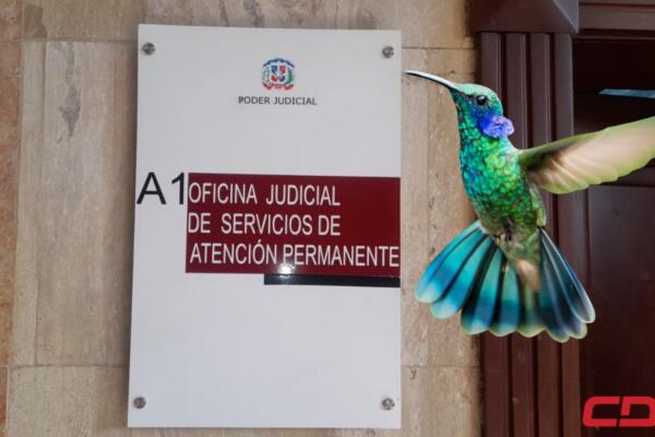 Ministerio Público Operación Colibrí