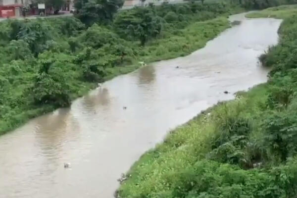 Rio Mahomita, San Cristobal
Foto: Carlos Valdez