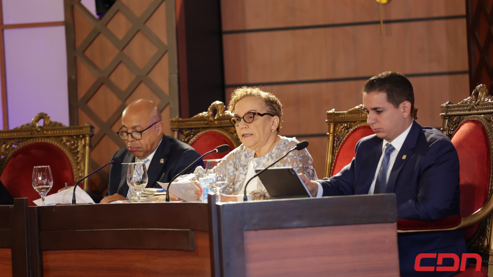 Vistas públicas CNM: Máximo Ramón Castillo Salas