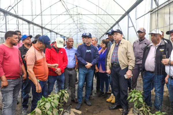 Gobierno va en auxilio de productores de Rancho Arriba. (FOTO: fuente interna)