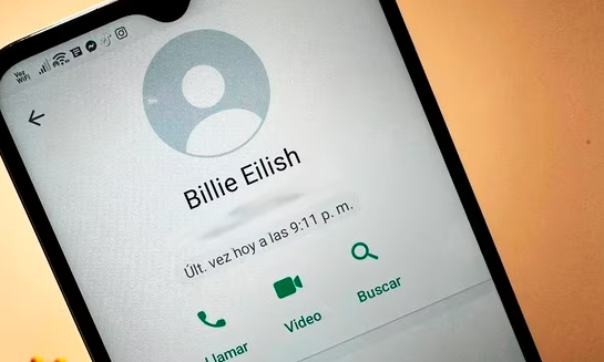 WhatsApp con perfil alternativo.