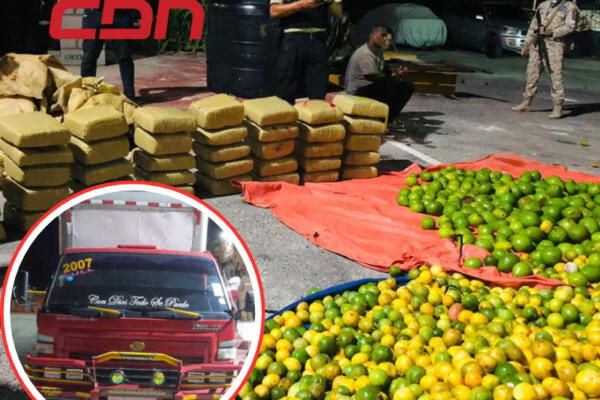 Cesfront y DNCD incautan en carga de naranjas 368 libras de marihuana.(CDN digital).