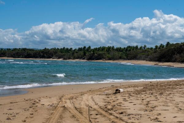 Bergantín, construirá nuevos hoteles. Fuente: externa.