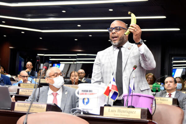 Luis Henríquez, vocero bloque de diputados PLD. (Foto: Fuente interna) 