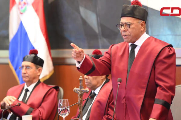 El presidente del Tribunal Constitucional, Milton Ray Guevara. / Fuente interna.