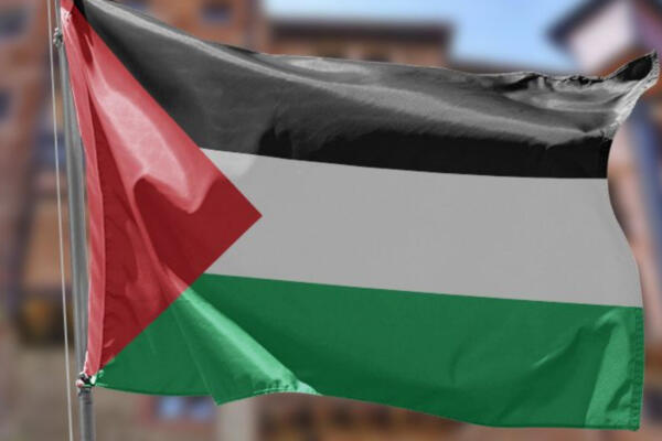 Bandera Palestina FOTO: Fuente externa