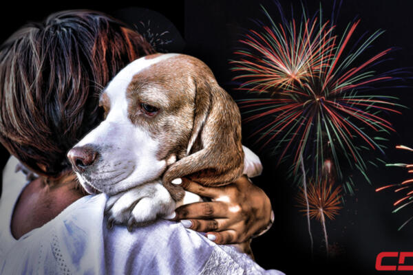 La pirotecnia y nuestras mascotas. Fuente: Externa