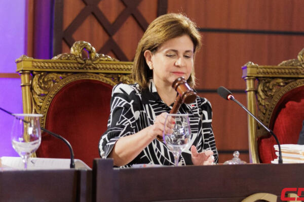 Raquel Peña en vista pública TC. Fuente: Externa 