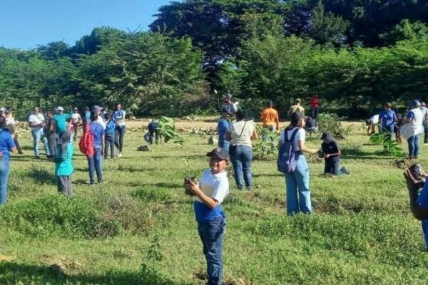 Coraapplata realiza jornada de reforestación en cuenca del río Bajabonico. (Foto Fuente Externa)