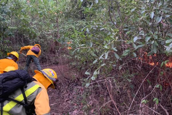 Bomberos forestales combaten un incendio en Loma Novillero.(CDN digital).