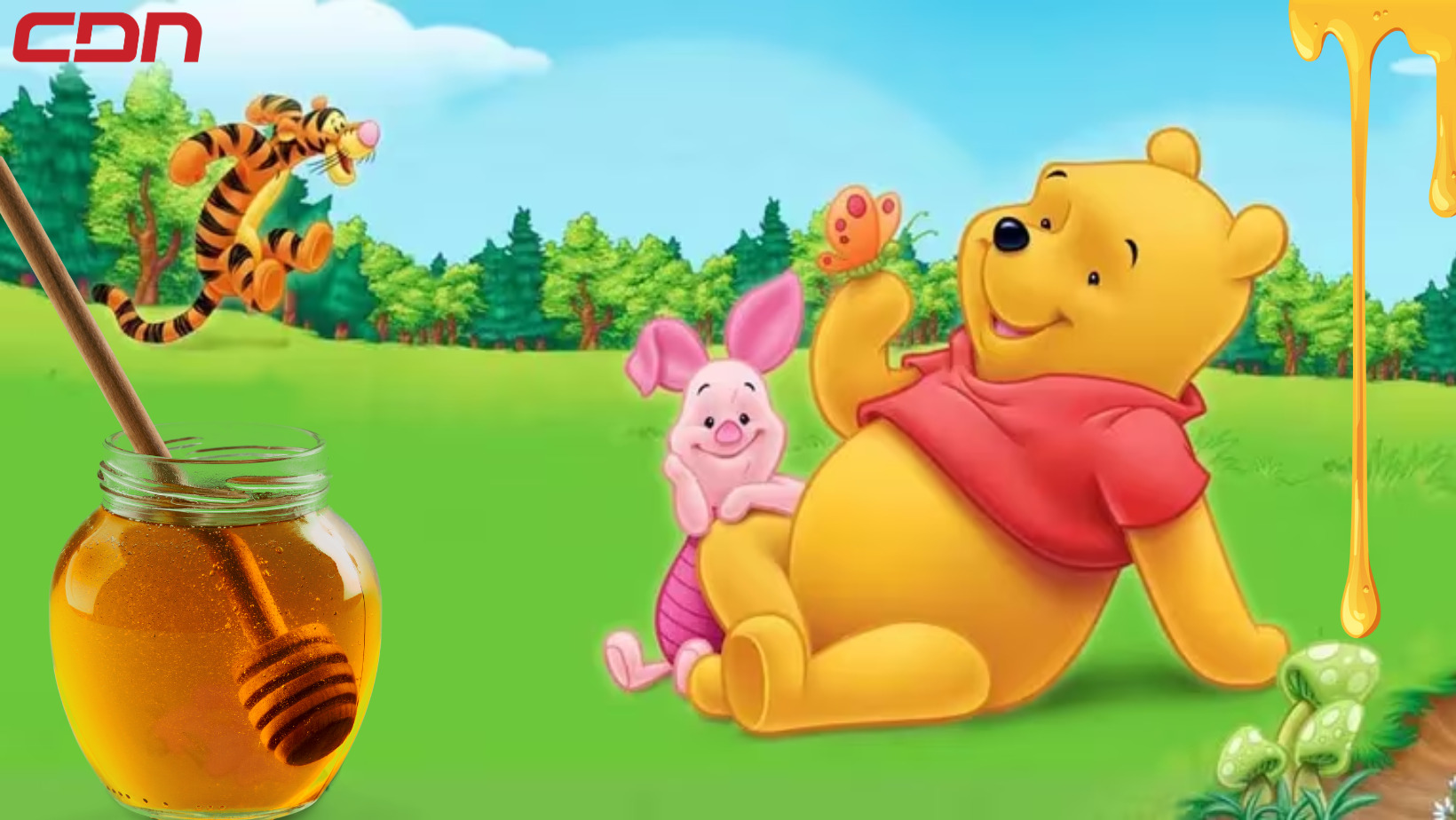 Día Winnie Pooh