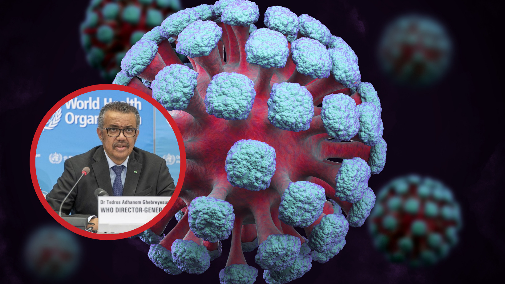 La OMS revela qué significa el término 'enfermedad X'