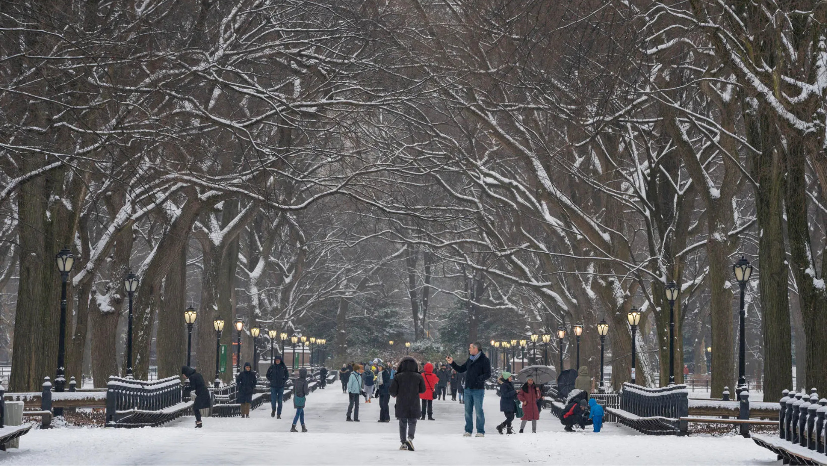Central Park se viste de blanco tras nevada. Foto: Fuente externa