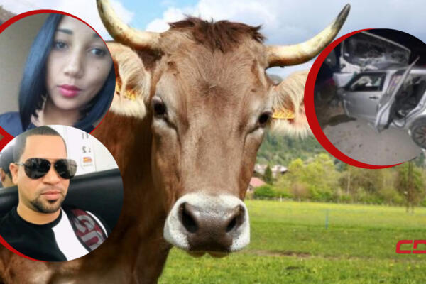 Dos personas fallecidas tras chocar con una vaca
