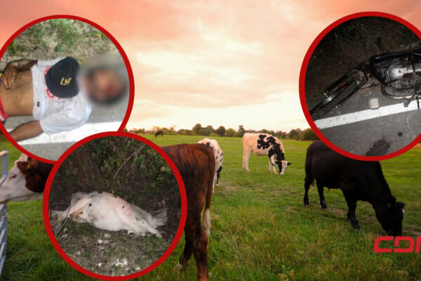 Renny Fabián Feliz Segura falleció al chocar contra una vaca. (Foto: CDN Digital)