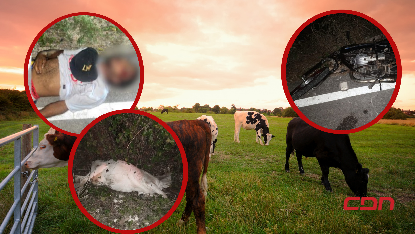Renny Fabián Feliz Segura falleció al chocar contra una vaca