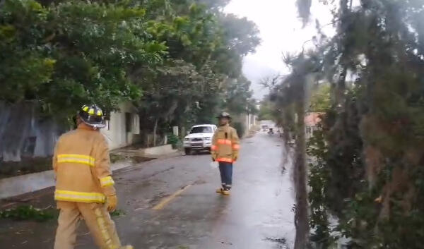 Ventarrón ocasiona daños a agricultura y viviendas en Constanza, dice Gobernadora de La Vega. (Foto: fuente externa)