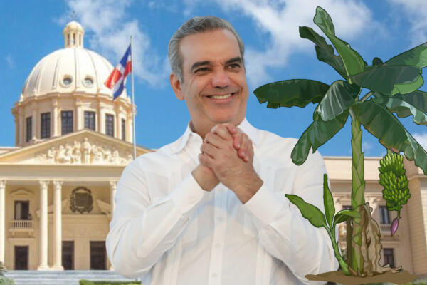 Presidente Abinader crea Comisión Dominicana del Plátano (Foto: CDN Digital)