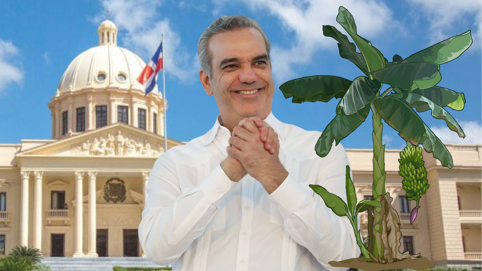 Presidente Abinader crea Comisión Dominicana del Plátano
