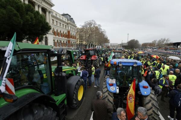 Entre otras mejoras, los protestantes exigen mejoras en la Ley de Cadena Alimentaria, simplificación de burocracia. Foto: Fuente Externa