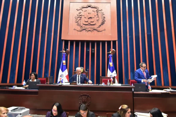 El proyecto está en manos de la Comisión Permanente de Fuerzas Armadas de la Cámara de Diputados para una posible derogación. Foto: Fuente Externa